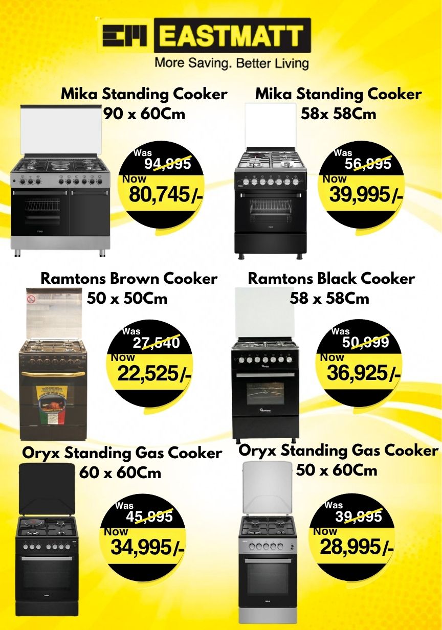 Electronic Standing Cookers