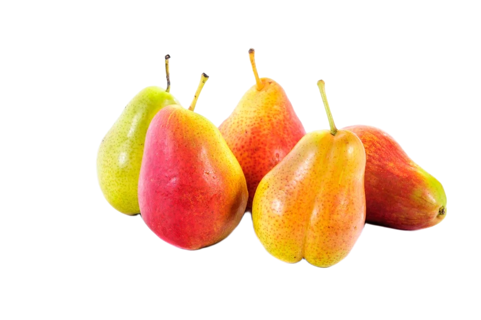 MB CORE BLUSH PEARS FRUIT /PC