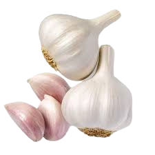 MB GARLIC IMPORTED /KG -SNOW WHT